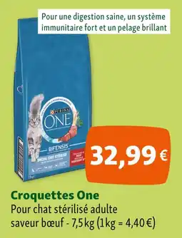 Maxi Zoo Purina One Croquettes offre