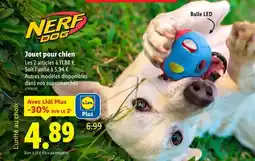 Lidl Nerf Dog Jouet pour chien offre