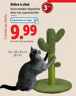 Lidl zoofari Arbre à chat offre