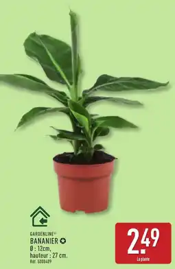 ALDI GARDENLINE Bananier offre
