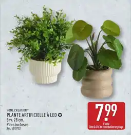 ALDI HOME CREATION Plante artificielle à led offre