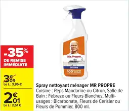 Carrefour Spray nettoyant ménager mr propre offre