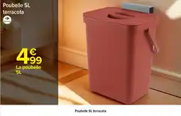 Carrefour Poubelle terracota offre
