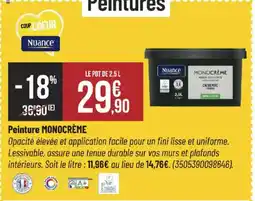 Bricorama MONOCRÈME Peinture offre