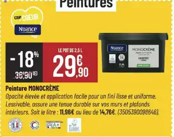 Bricorama MONOCRÈME Peinture offre