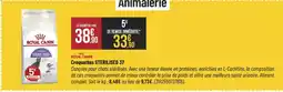 Bricorama Croquettes sterilised 37 offre
