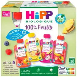 Carrefour HIPP BIOLOGIQUE Gourdes multifruits offre