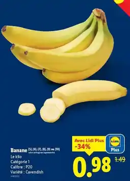 Carrefour Drive Perfecto court femme offre