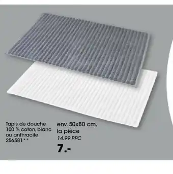 Möbel Martin Tapis de douche offre