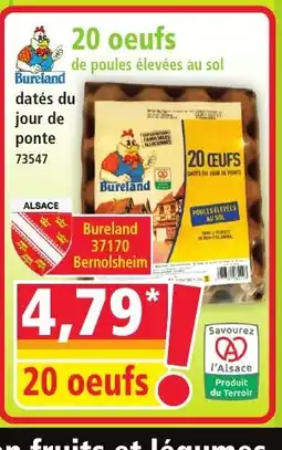 Norma 20 oeufs offre