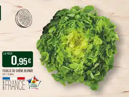 Match Origine France Feuille de chêne blonde offre
