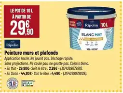 Tridôme RIPOLIN Peinture murs et plafonds offre