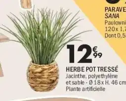 La Foir'Fouille Herbe pot tressé offre