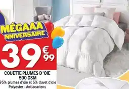 La Foir'Fouille Couette plumes d'oie 500 gsm offre