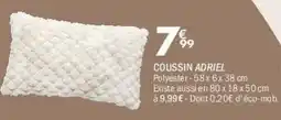 La Foir'Fouille Coussin adriel offre