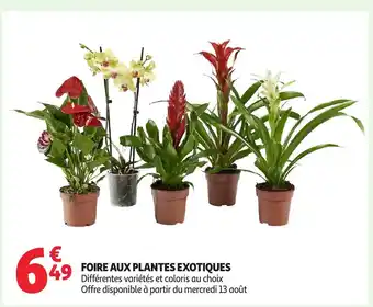 Auchan Foire aux plantes exotiques offre