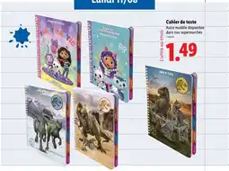 Lidl Cahier de texts offre