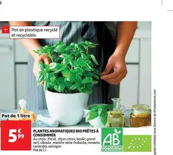 Auchan Direct Plantes Aromatiques Bio Prêtes à Consommer offre