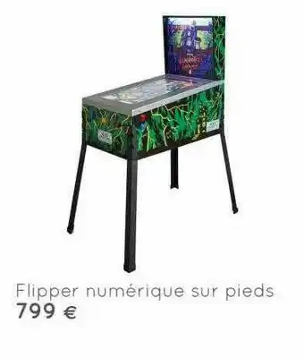 Flipper Numérique Sur Pieds