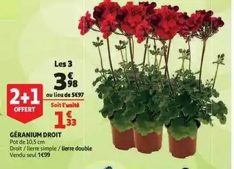 Auchan Direct Géranium Droit offre