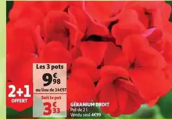 Auchan Direct Géranium Droit offre