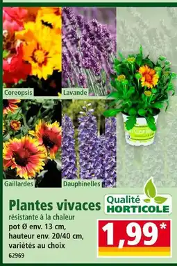 Norma Qualité Horticole Plantes vivaces offre