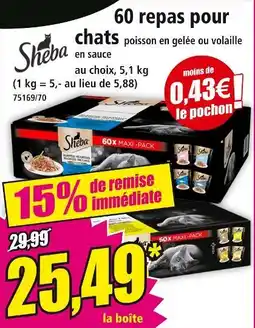 Norma SHEBA 60 repas pour chats offre