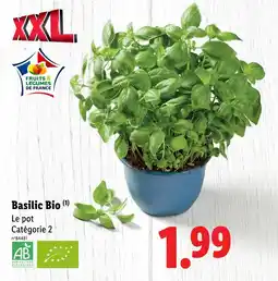 Lidl Basilic bio offre
