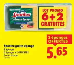 Lidl Spontex Gratte-Éponge offre