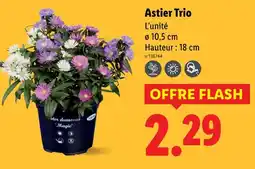 Lidl Astier trio offre
