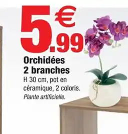 Bazarland Orchidées 2 branches offre