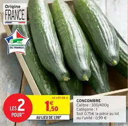 Intermarché Concombre offre