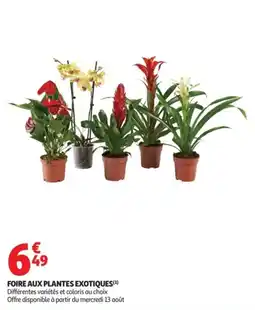 Auchan Supermarché Foire aux plantes exotiques offre
