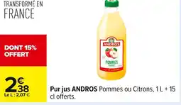 Carrefour ANDROS Pur jus offre