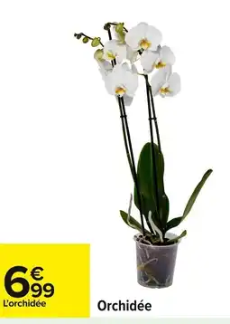 Carrefour Orchidée offre