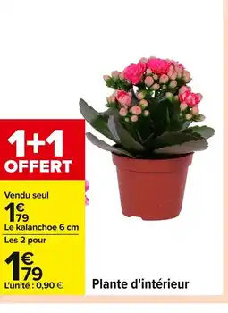 Carrefour Plante d'intérieur offre
