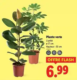 Carrefour Andros - desserts fruitiers offre