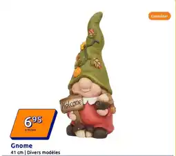 Action Gnome offre