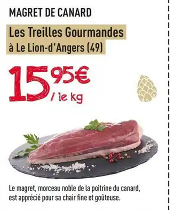 Les treilles gourmandes magret de canard