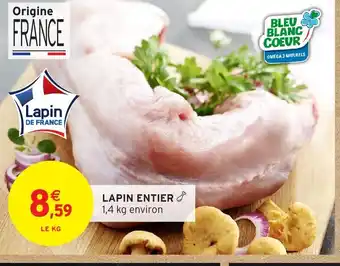 Intermarché Hyper Lapin entier offre