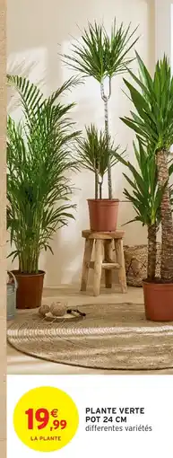 Intermarché Hyper Plante verte offre