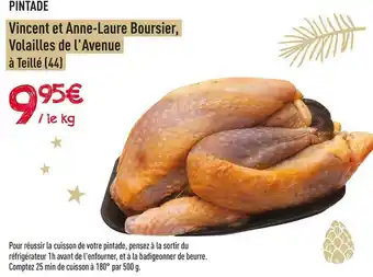 Pintade