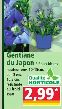 Norma Gentiane du Japon offre