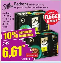 Norma SHEBA Pochons offre