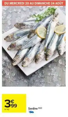 Carrefour Market SARDINE offre