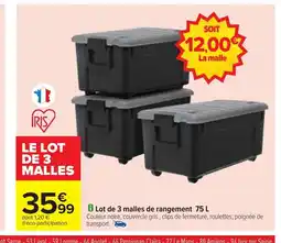 Carrefour Lot de 3 malles de rangement offre