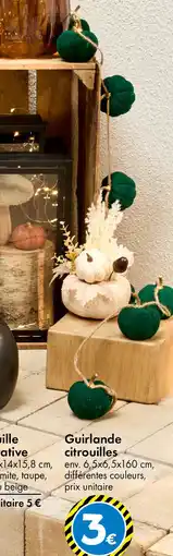 TEDi Guirlande citrouilles offre
