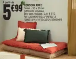 La Foir'Fouille Coussin théo offre