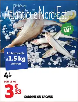 Auchan Sardine ou tacaud offre