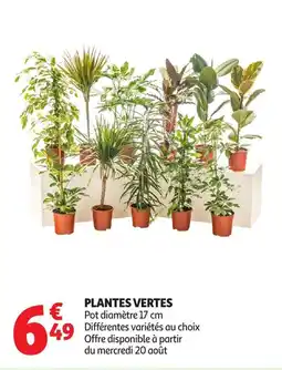 Auchan Plantes vertes offre